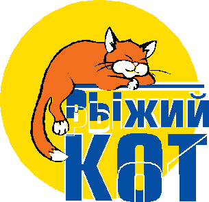 Рыжий кот