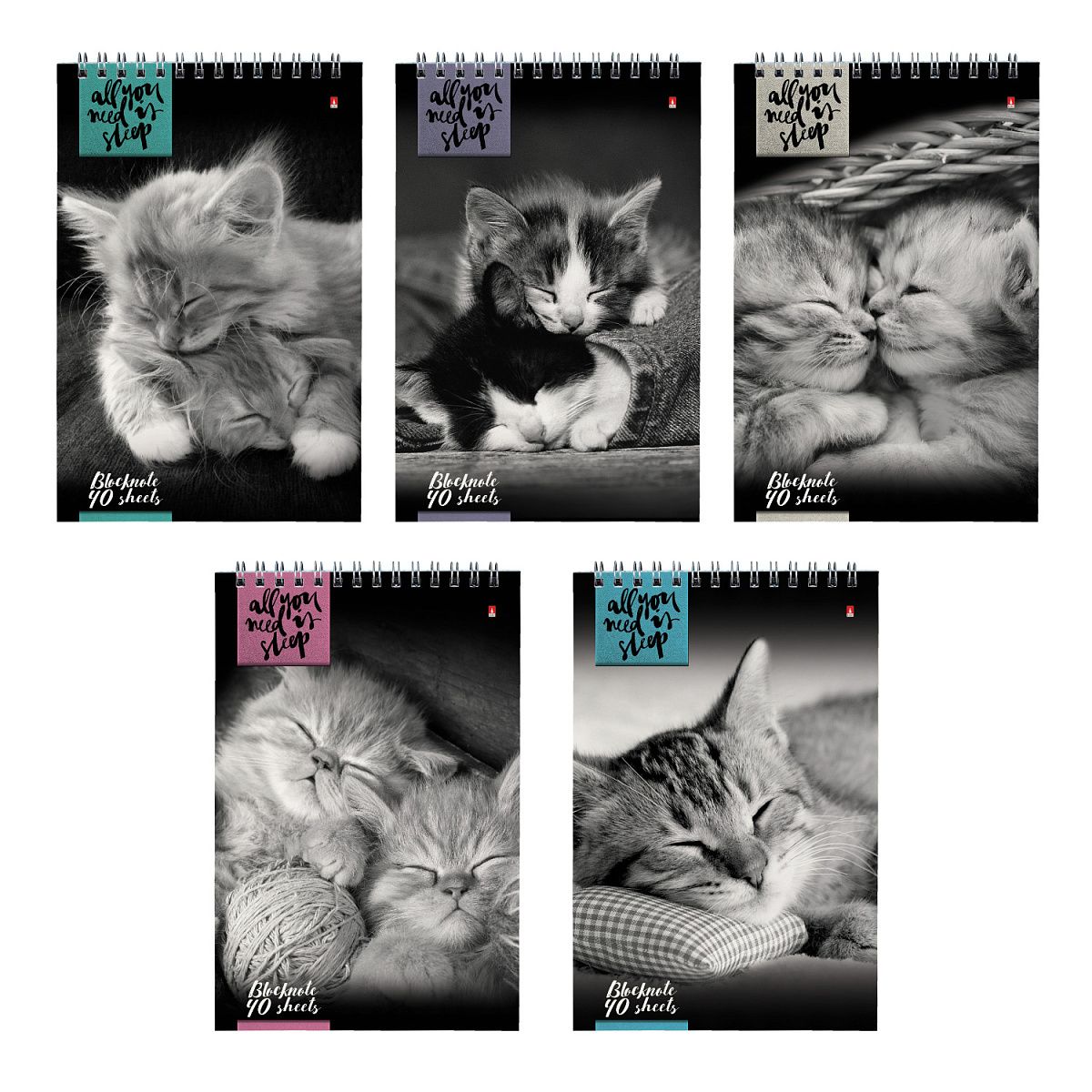 Блокнот А5  40л гребень "Кошки" клетка