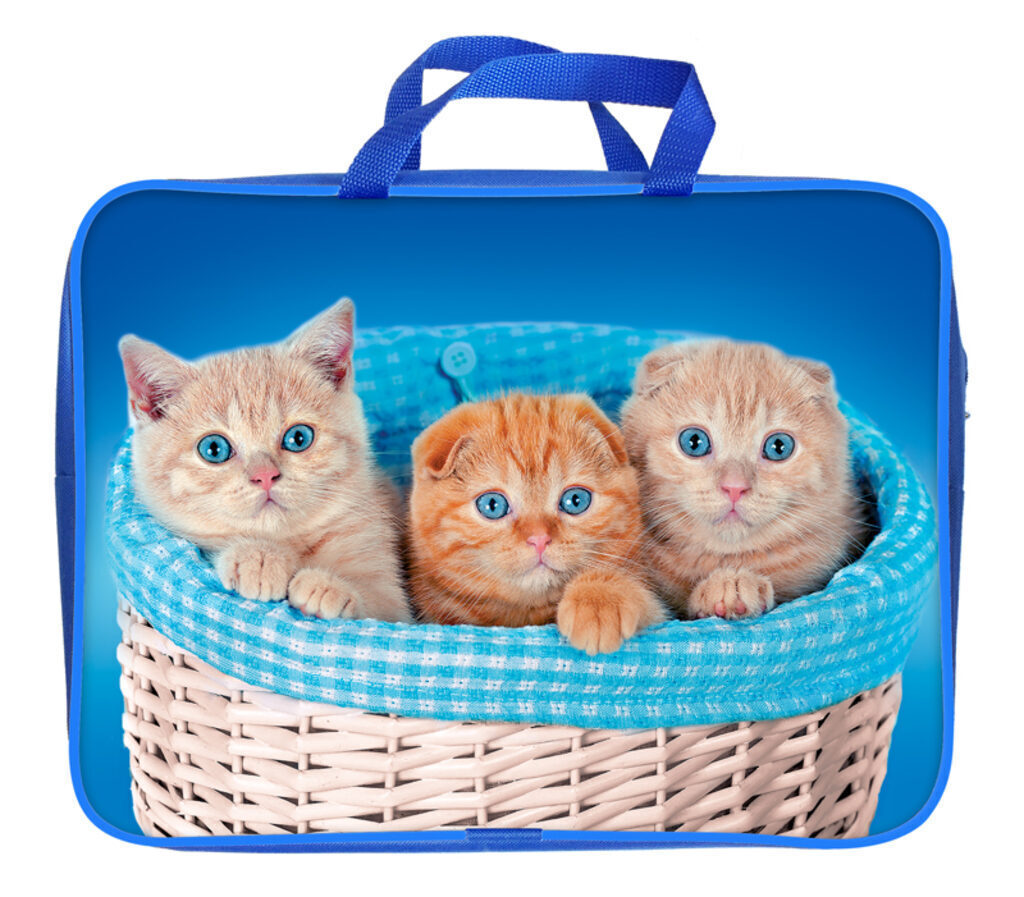 Папка А4 (360*270*80) с ручками, молния, ткань "Котята в корзинке"