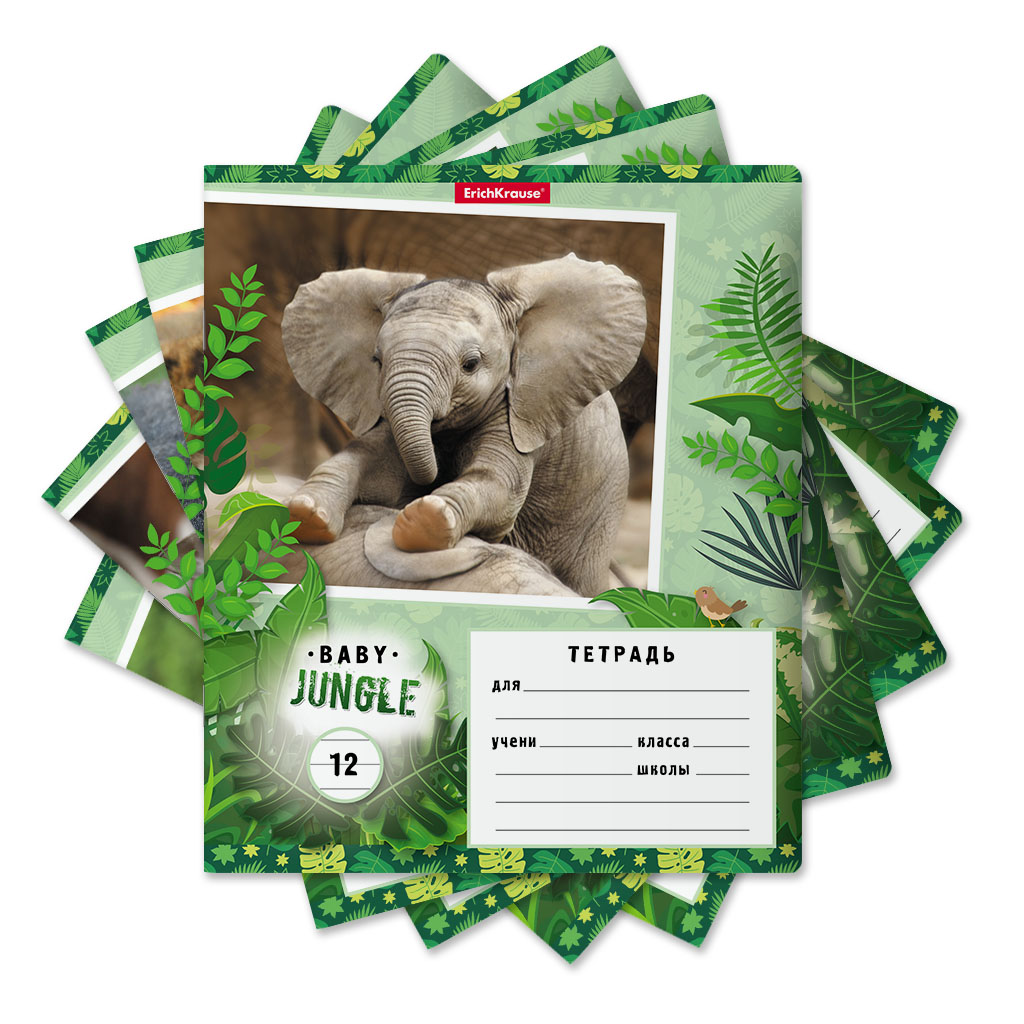 Тетрадь школьная ученическая ErichKrause Baby Jungle, 12 листов, линейка (в плёнке по 10 шт.)