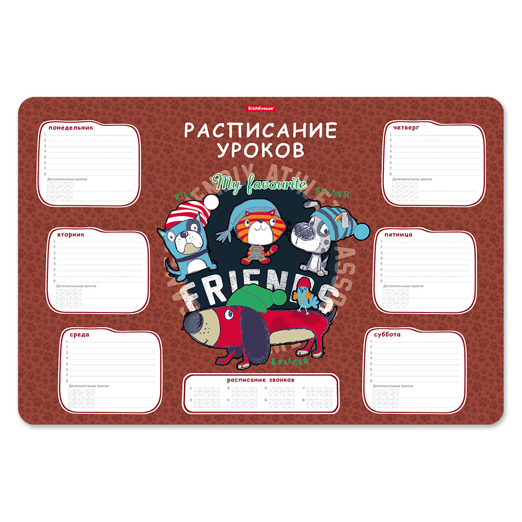 Расписание уроков пластиковое ErichKrause Adventure Friends, А3