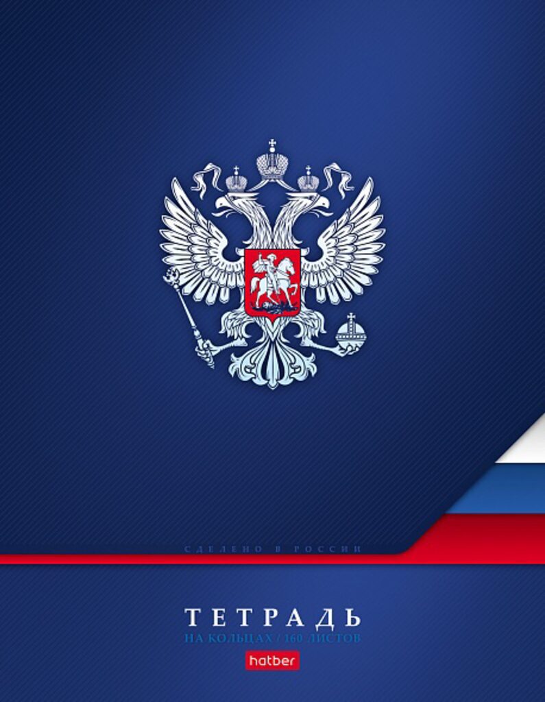 Тетрадь  А5 160л кл. на кольцах Hatber "Россия" мат.лам.