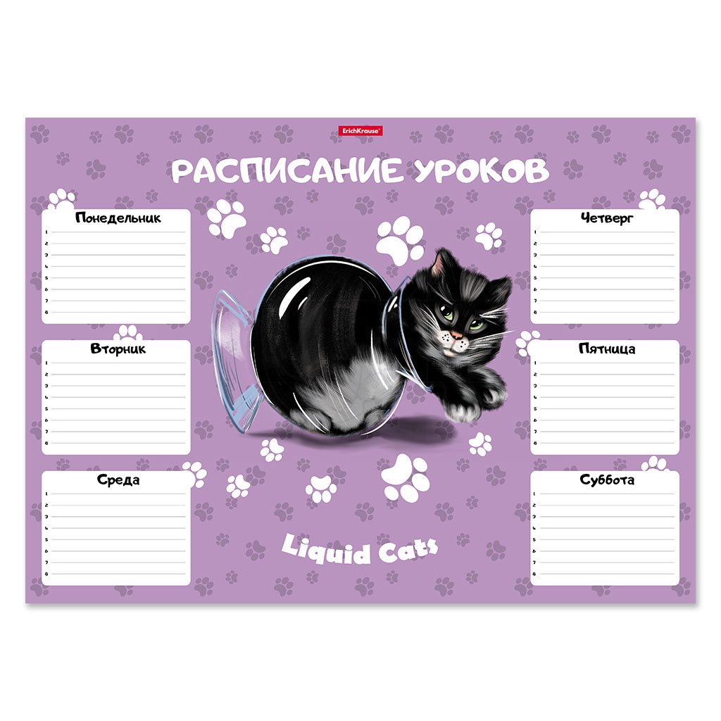 Расписание уроков ErichKrause Жидкие коты, А3