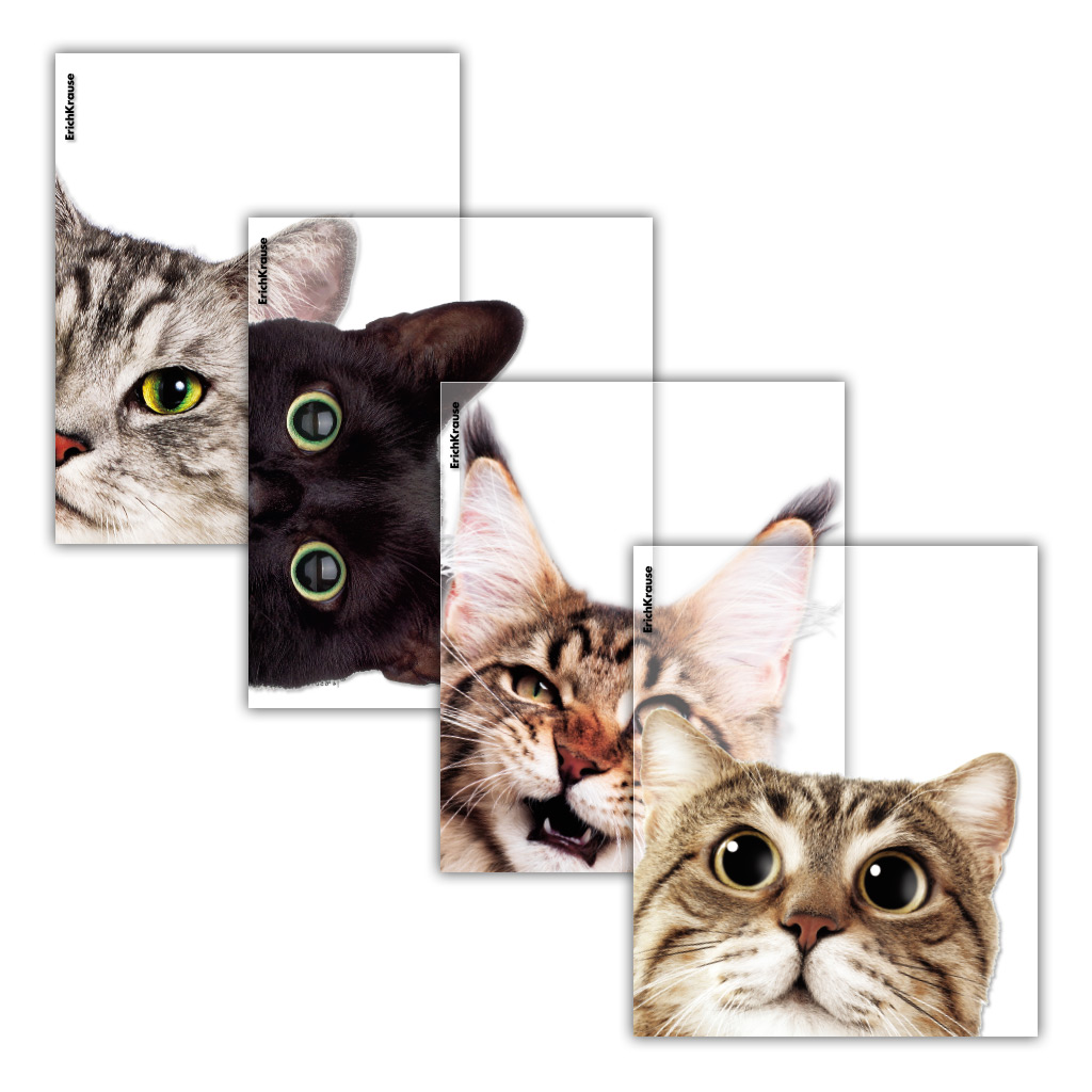 Набор обложек для тетрадей и дневн. (212х347мм), 80мкм, Hiding Cats  (12шт)