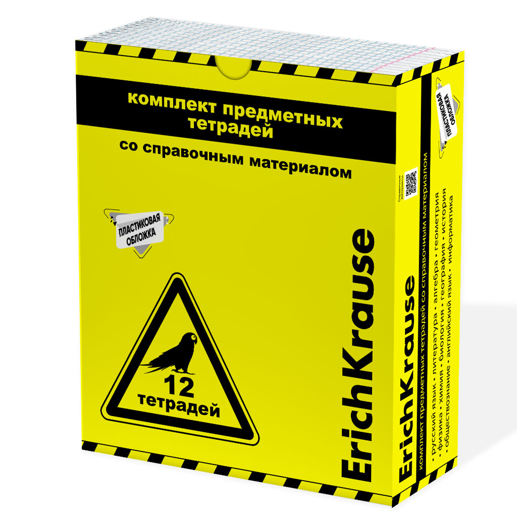 Комплект тетрадей общих ученических с пластиковой обложкой ErichKrause Be Informed, 48 листов, кл./лин., со спр. мат. (обечайка 12 шт.)