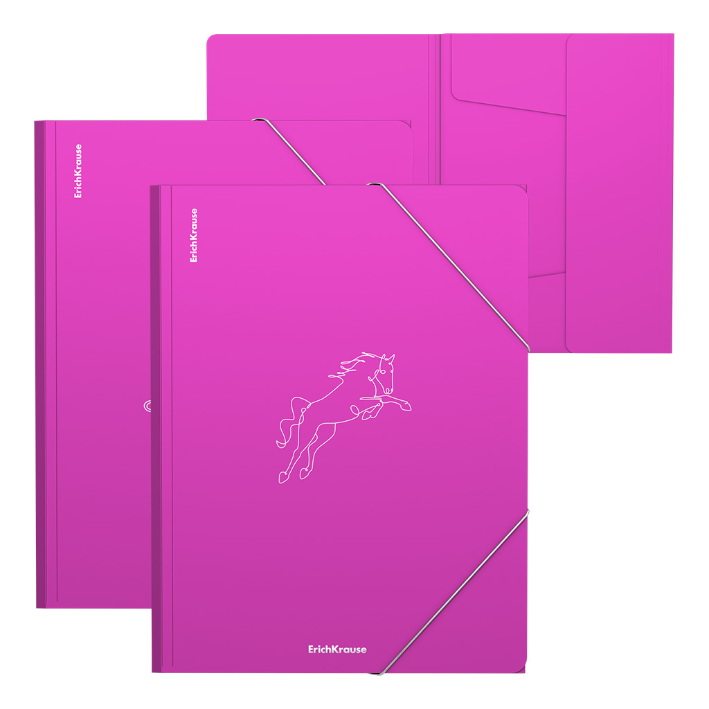 Папка на резинках пластиковая ErichKrause Neon Animals, A4, розовый, ассорти (в пакете по 4 шт.)