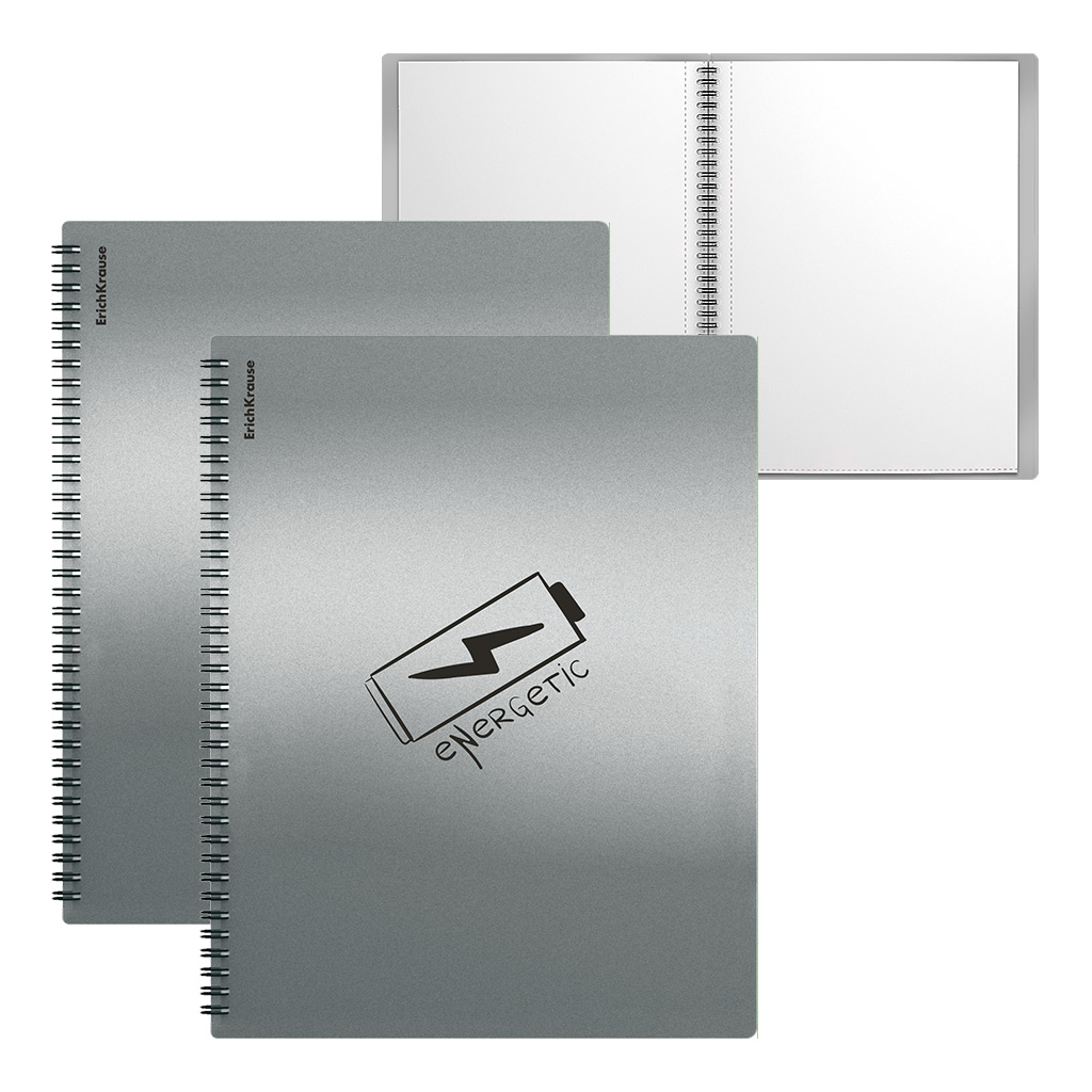 Папка файловая пластиковая на спирали ErichKrause Ice Metallic Ideas, с 30 прозрачными карманами, A4, серый, ассорти (в пакете по 4 шт.)