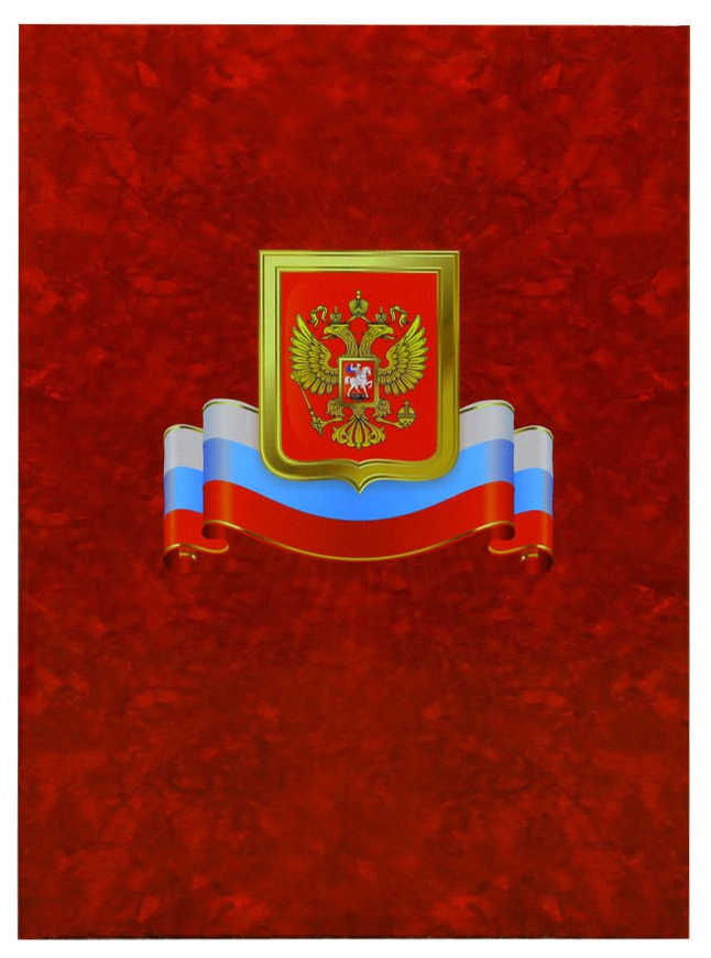 Папка Адресная А4 "Гроза с гербом и флагом" ламинированная