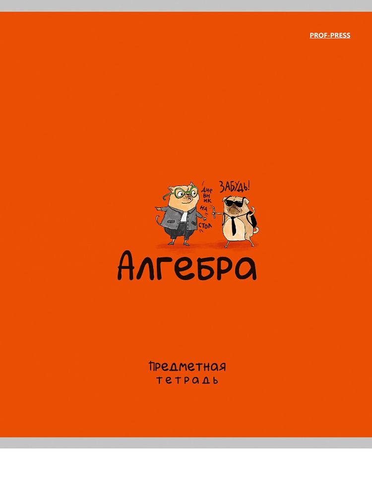 Тетрадь предметная А5 Алгебра "Mini friends" 48л, кл.,тисн.лен