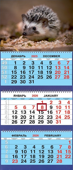 Календарь Трио  310*690мм на 2026г.  Животные. Ёжик