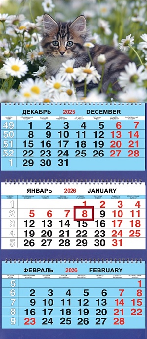 Календарь Трио  310*690мм на 2026г.  Животные. Котёнок в ромашках