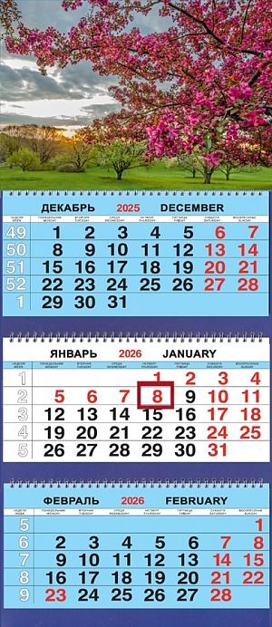 Календарь Трио  310*690мм на 2026г.  Природа. Цветущая яблоня