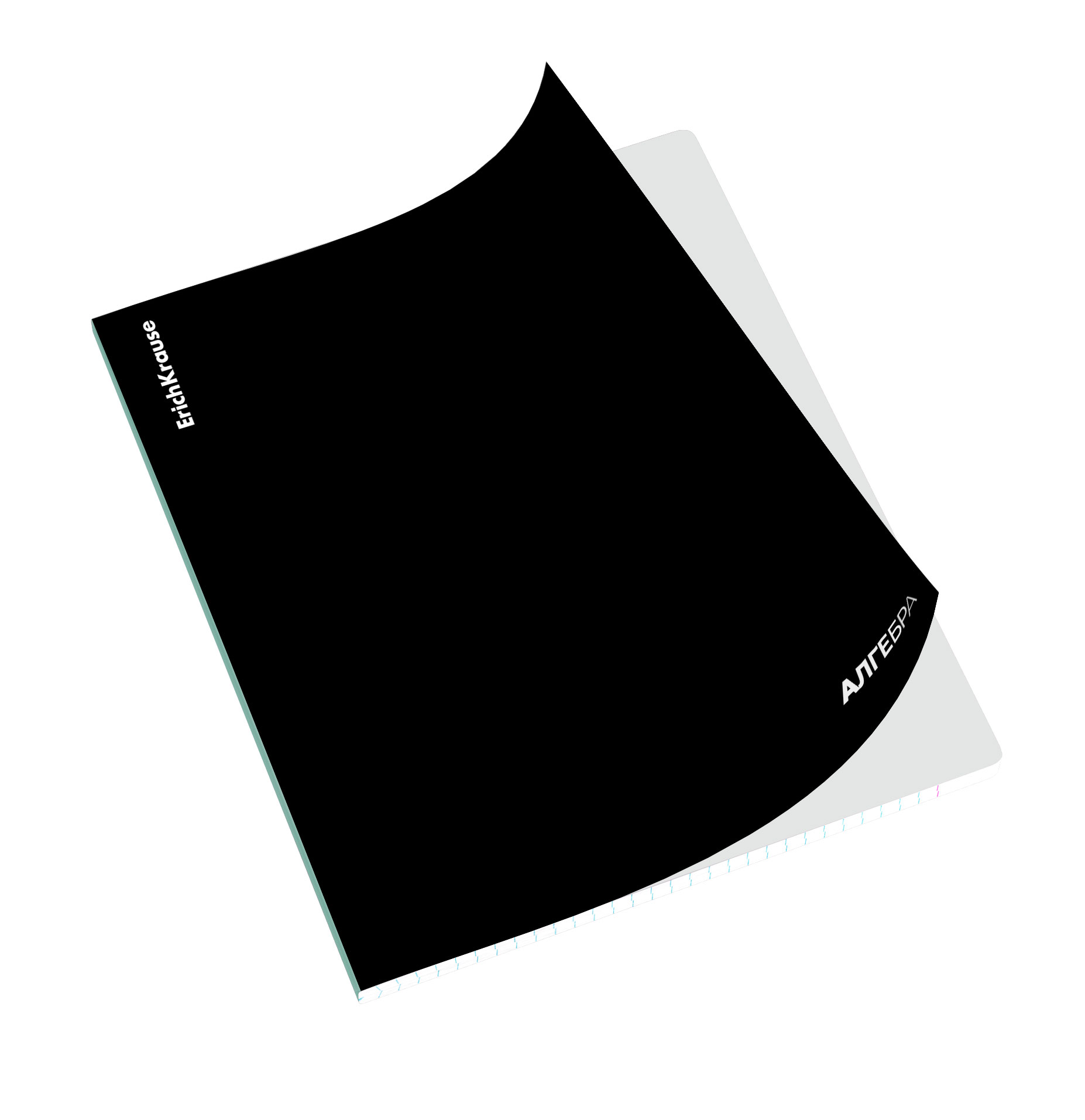 Тетрадь общая ученическая с пластиковой обложкой на скобе ErichKrause Black Diamond, Алгебра, 48 листов, клетка