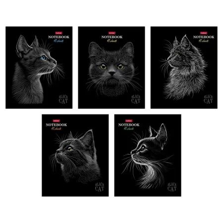 Тетрадь А5 48л кл. Hatber "Black Cat" мат.лам., 3Dлак, 5диз.в блоке