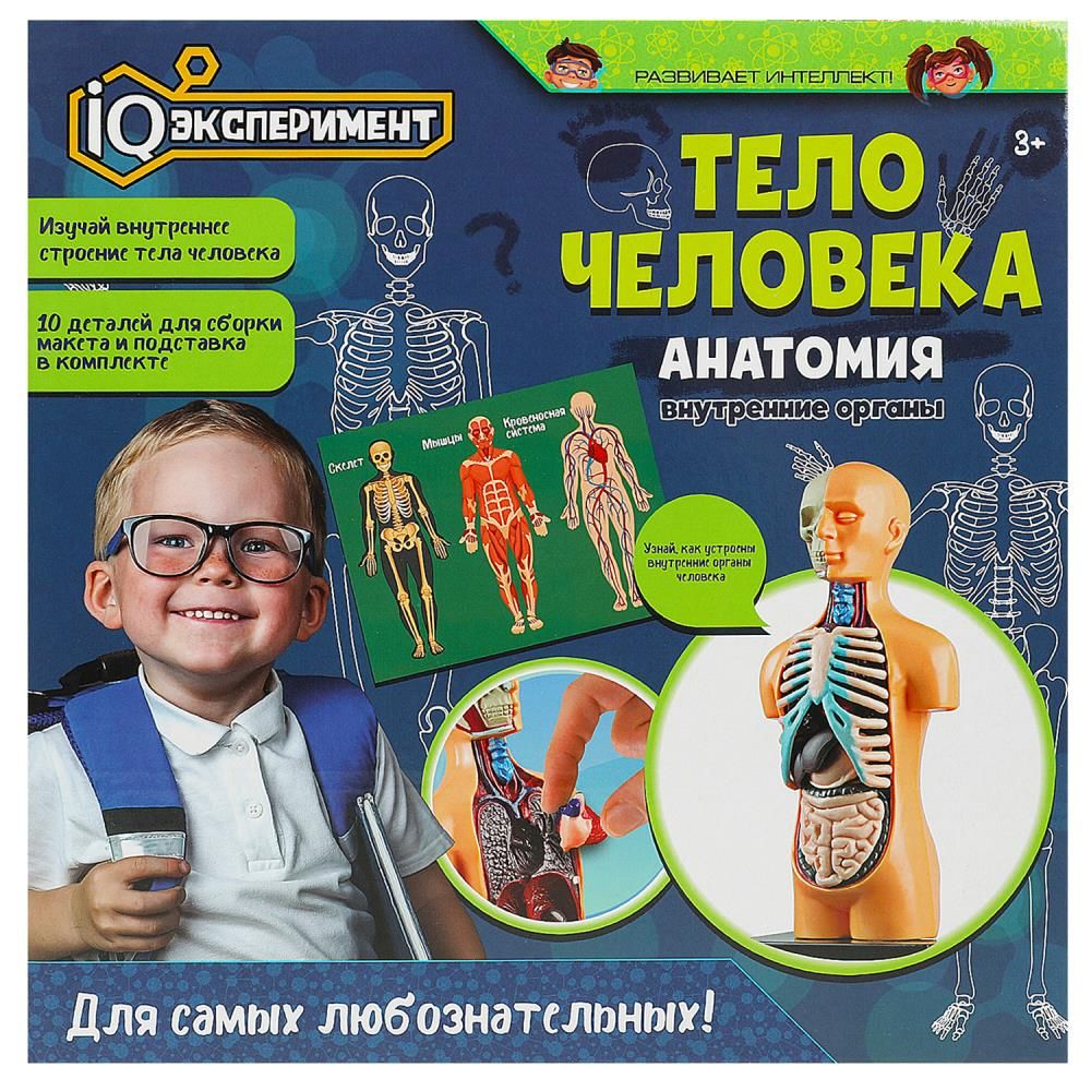 Набор для опытов 30 в 1 "IQ Эксперимент" тело человека