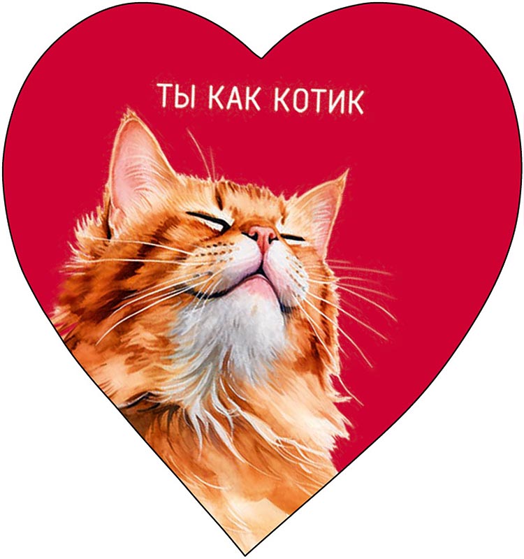 Открытка 6*6см  "Ты как котик"