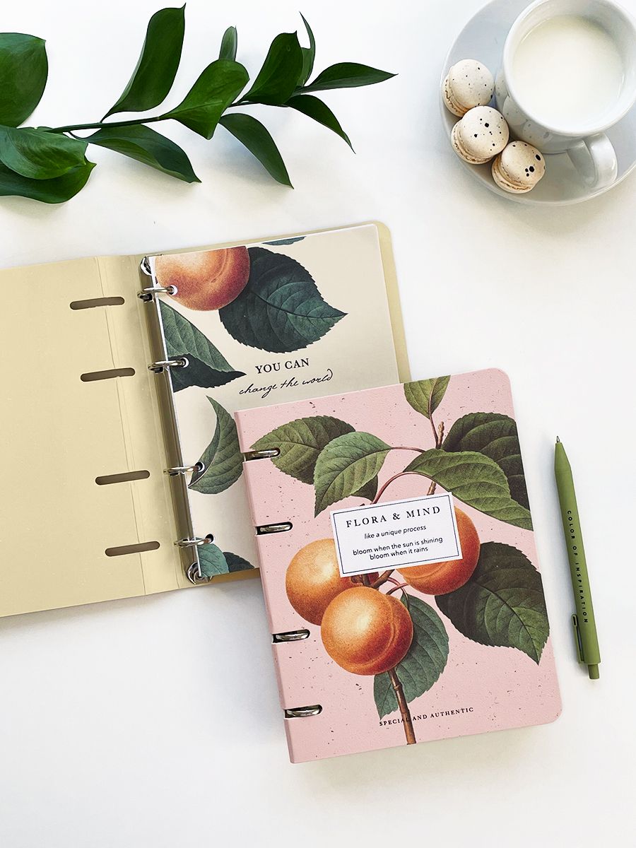 Тетрадь  А5 120л кл. на кольцах Infolio "Infolio Study. Flora. Персики"