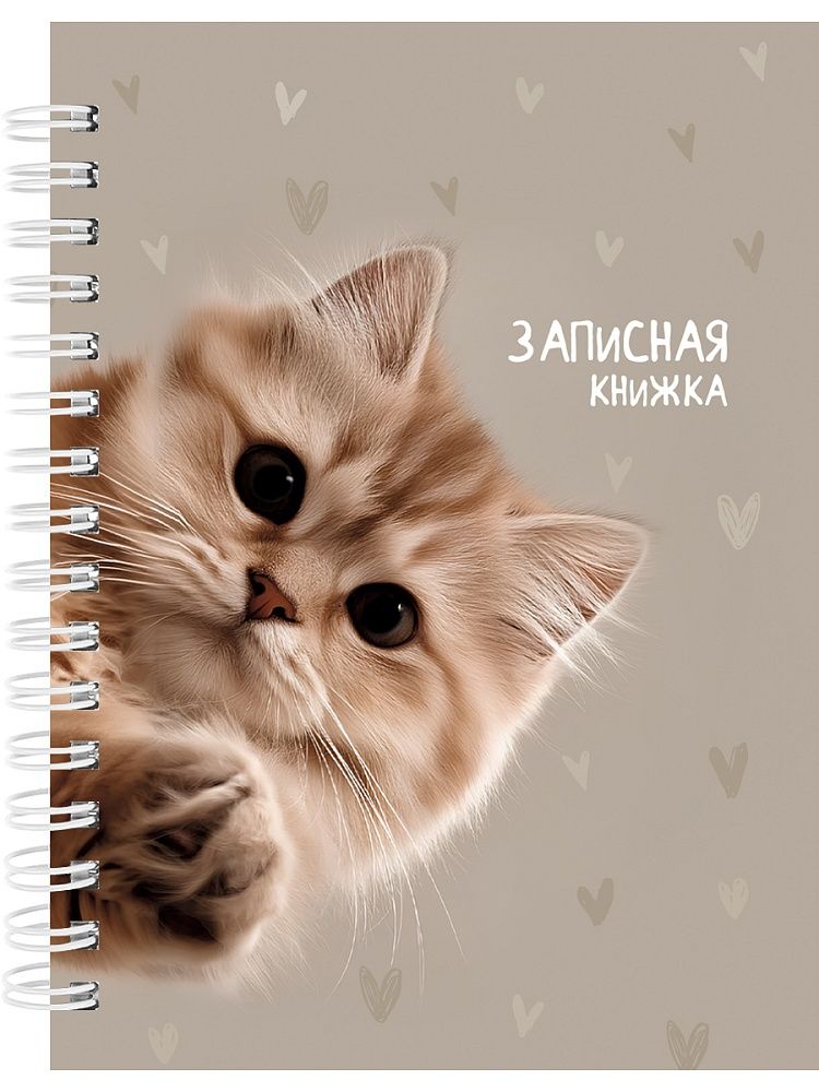 Блокнот А6 7БЦ  80л гребень "Забавный котик - 3" кл., глянц.лам.