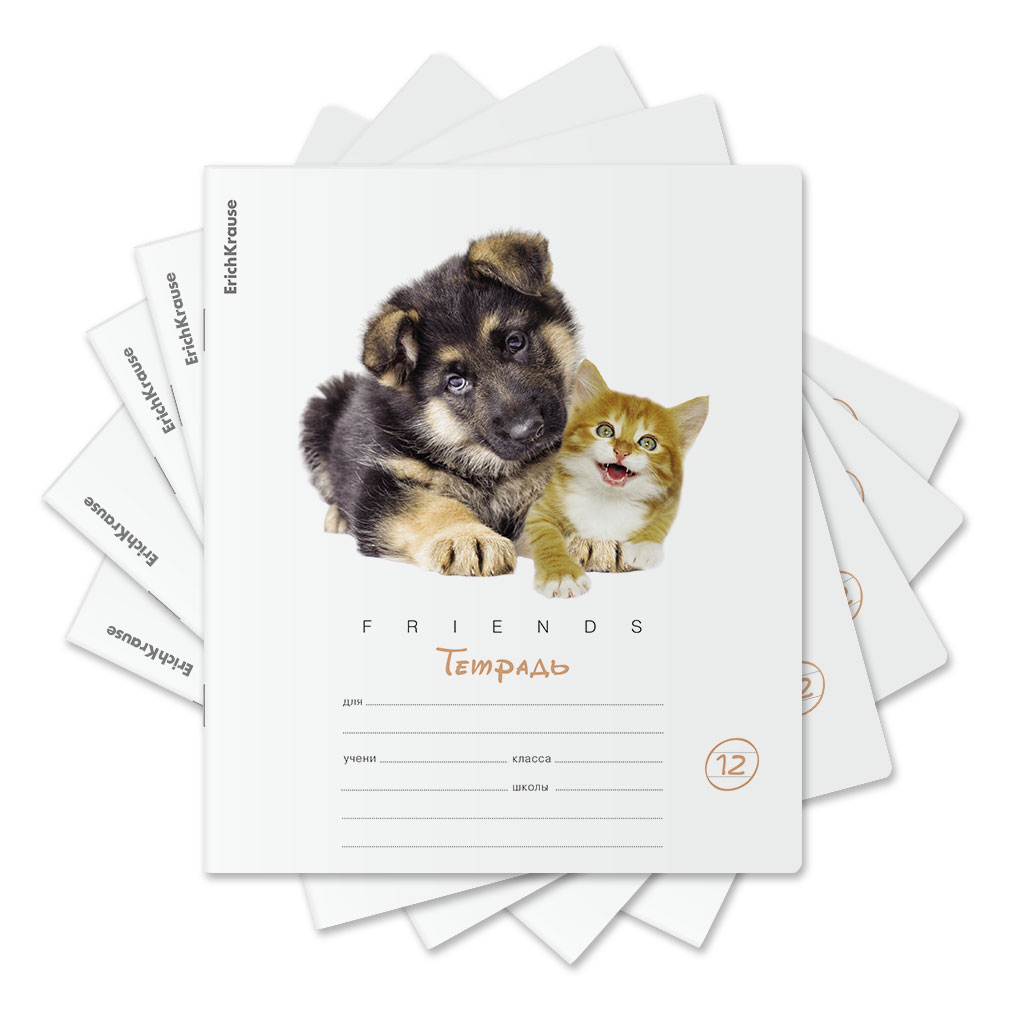 Тетрадь школьная ученическая ErichKrause Дружба, 12 листов, линейка (в плёнке по 10 шт.)